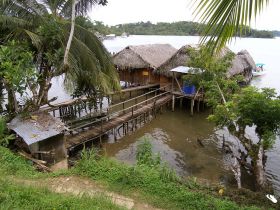 Roots Bastimentos Bocas del Toro Panama expat gringo retire – Best Places In The World To Retire – International Living